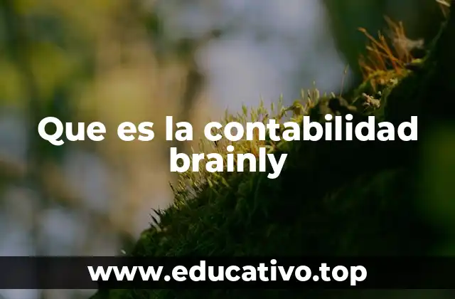 Que es la contabilidad brainly