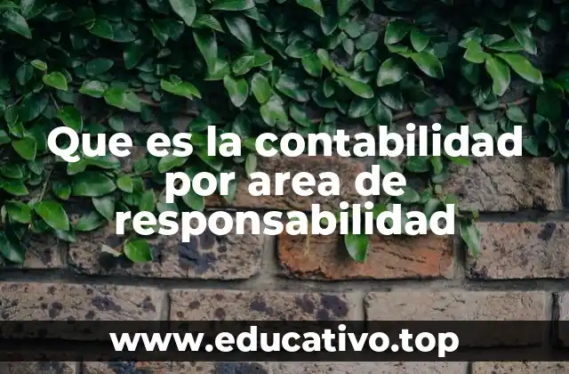 Que es la contabilidad por area de responsabilidad