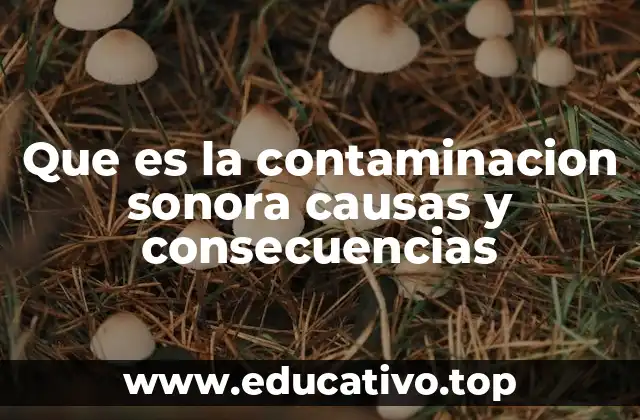 El impacto del ruido en la salud física y mental