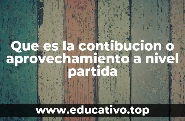 Que es la contibucion o aprovechamiento a nivel partida