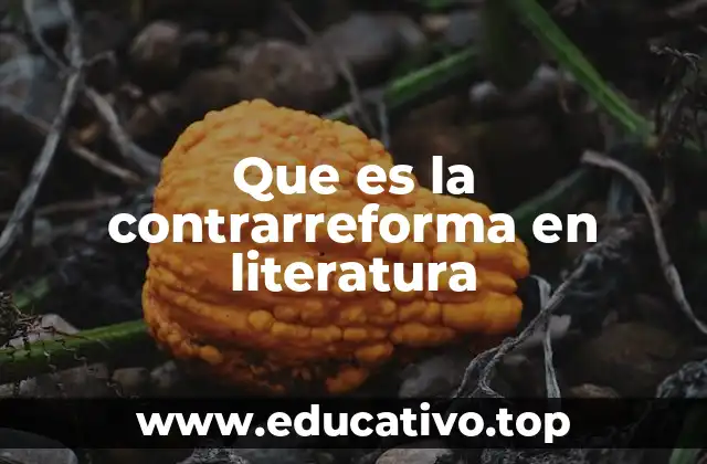 Que es la contrarreforma en literatura