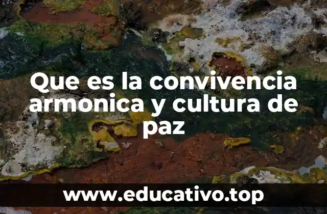 La importancia de construir sociedades inclusivas