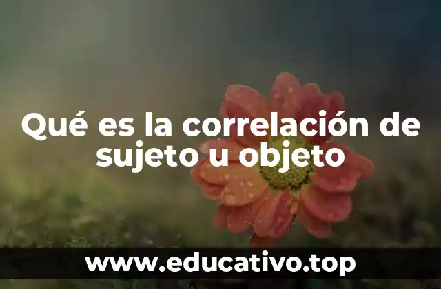 Qué es la correlación de sujeto u objeto