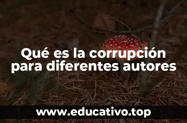 Qué es la corrupción para diferentes autores