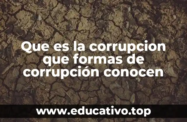 Que es la corrupcion que formas de corrupción conocen