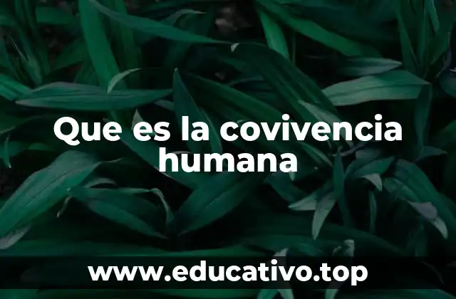 Que es la covivencia humana