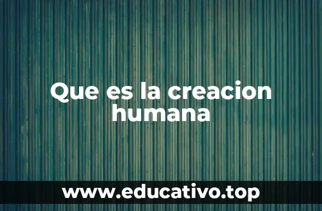 Que es la creacion humana