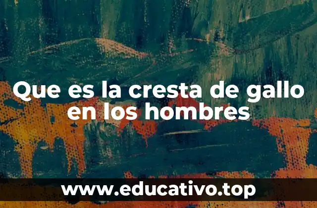 Que es la cresta de gallo en los hombres