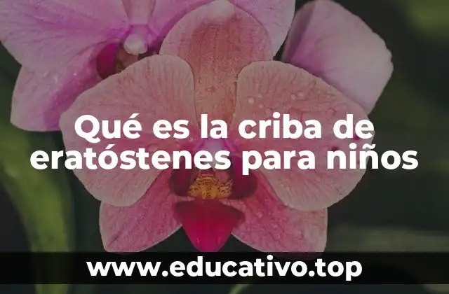 Qué es la criba de eratóstenes para niños