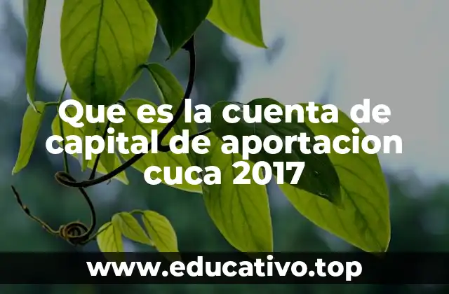 Que es la cuenta de capital de aportacion cuca 2017