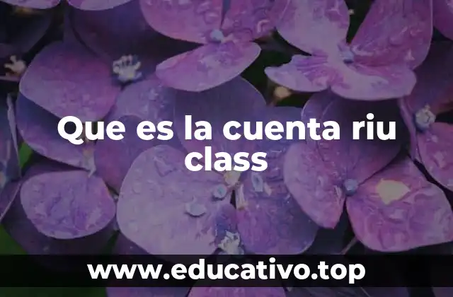 Que es la cuenta riu class