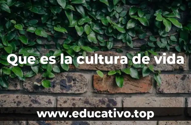 Que es la cultura de vida