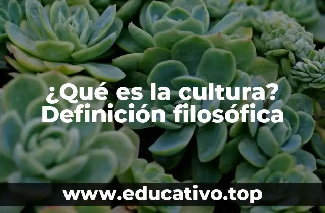¿Qué es la cultura? Definición filosófica