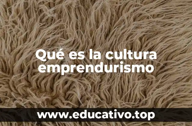 Cómo se manifiesta la cultura emprendurismo en la sociedad