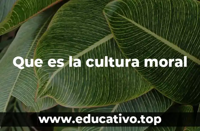 La importancia de los valores en la formación de una cultura moral