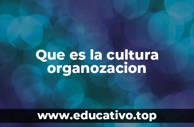 Que es la cultura organozacion