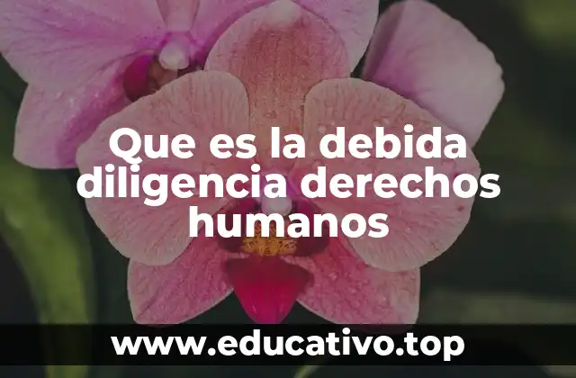 Que es la debida diligencia derechos humanos