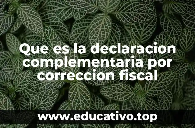 Que es la declaracion complementaria por correccion fiscal
