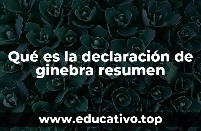 Qué es la declaración de ginebra resumen