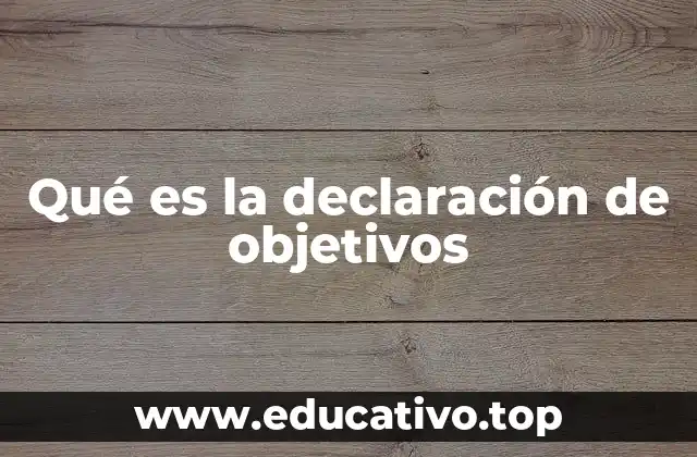 Qué es la declaración de objetivos