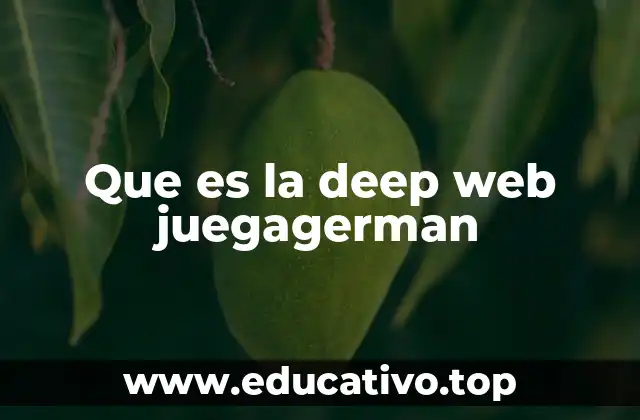Que es la deep web juegagerman