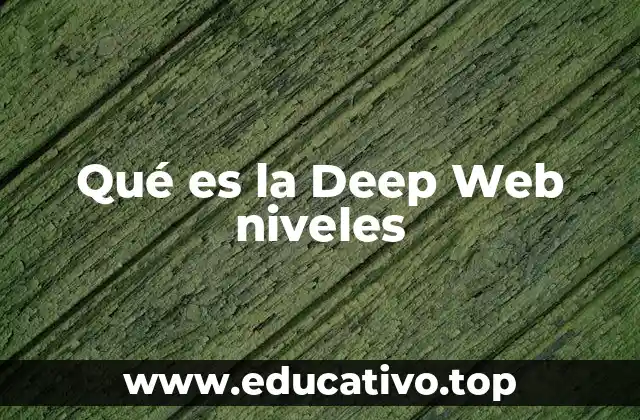 Qué es la Deep Web niveles