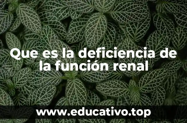Cómo afecta la disfunción renal al cuerpo