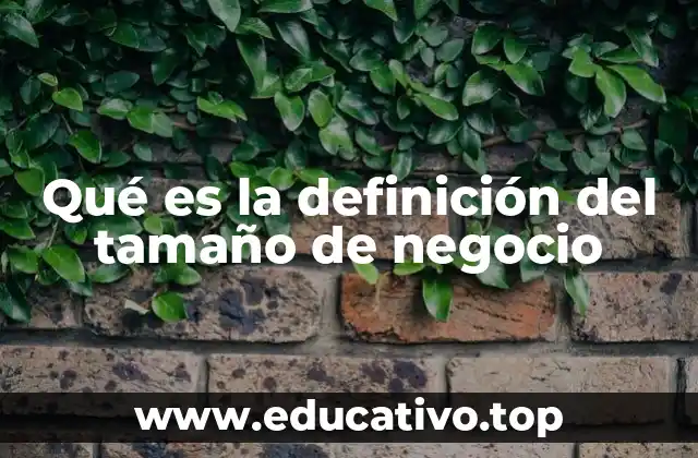 Qué es la definición del tamaño de negocio