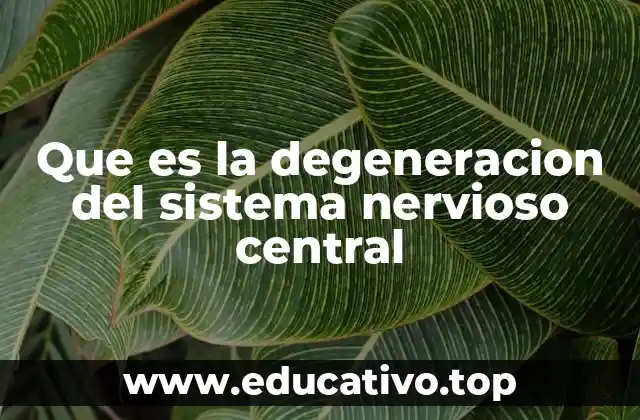 Que es la degeneracion del sistema nervioso central