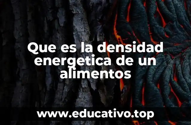 Que es la densidad energetica de un alimentos