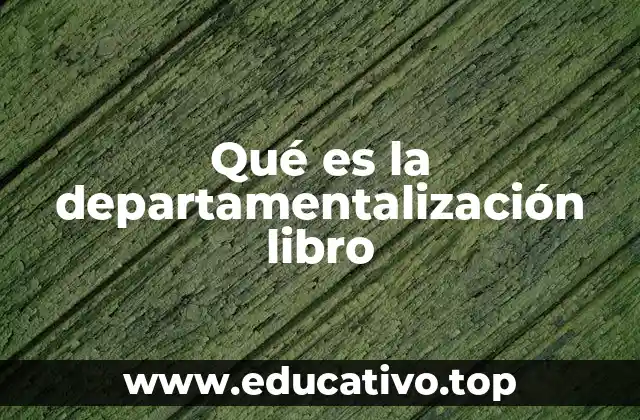 Qué es la departamentalización libro
