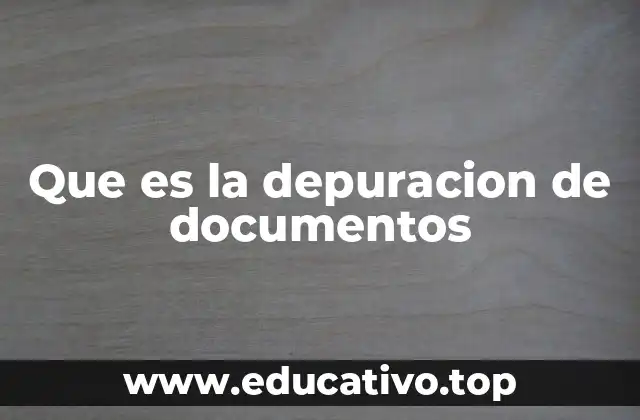 Que es la depuracion de documentos