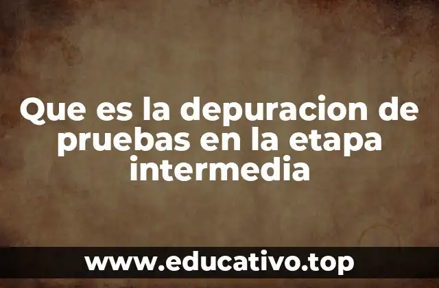 Que es la depuracion de pruebas en la etapa intermedia