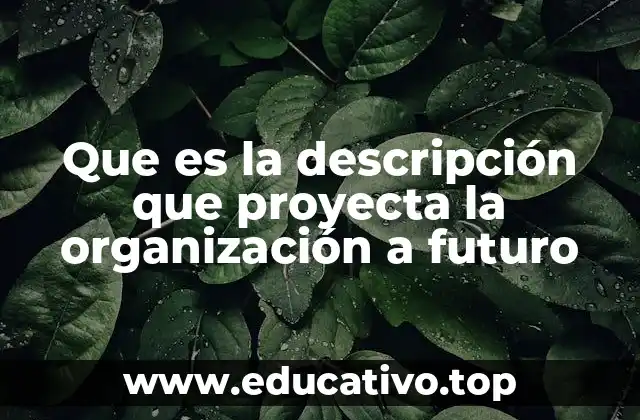 Que es la descripción que proyecta la organización a futuro