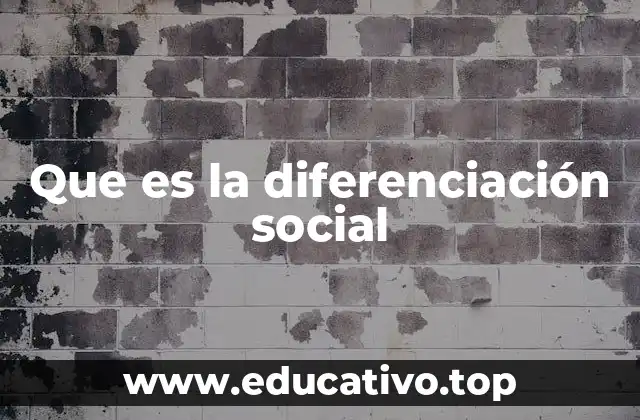 Que es la diferenciación social