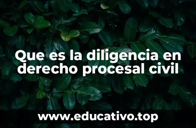 Que es la diligencia en derecho procesal civil