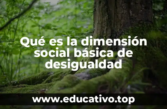 La dimensión social básica de desigualdad y sus implicaciones para la política pública