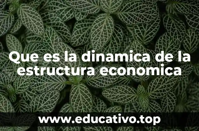 Que es la dinamica de la estructura economica