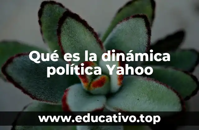 Qué es la dinámica política Yahoo
