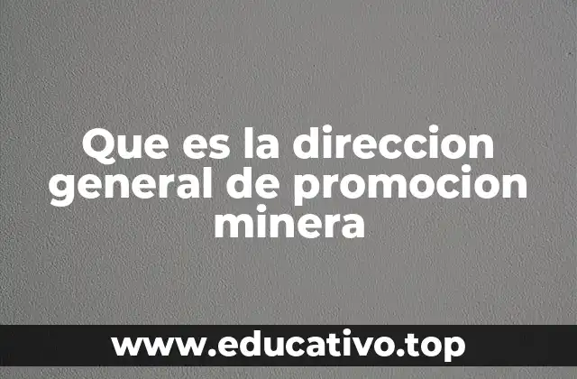 Que es la direccion general de promocion minera