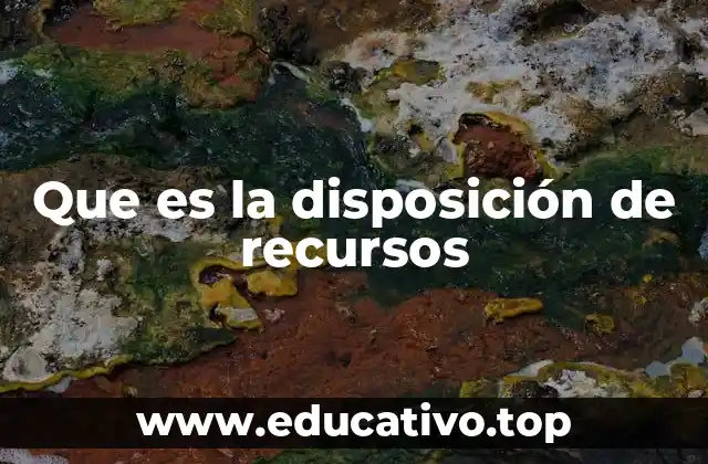 Que es la disposición de recursos