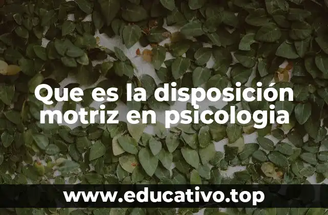 Que es la disposición motriz en psicologia
