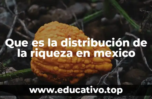 Que es la distribución de la riqueza en mexico