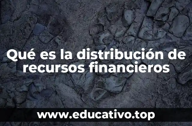 Qué es la distribución de recursos financieros