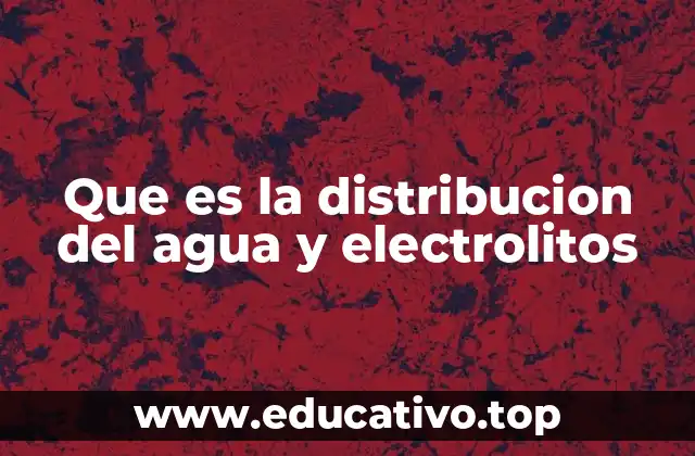 Que es la distribucion del agua y electrolitos