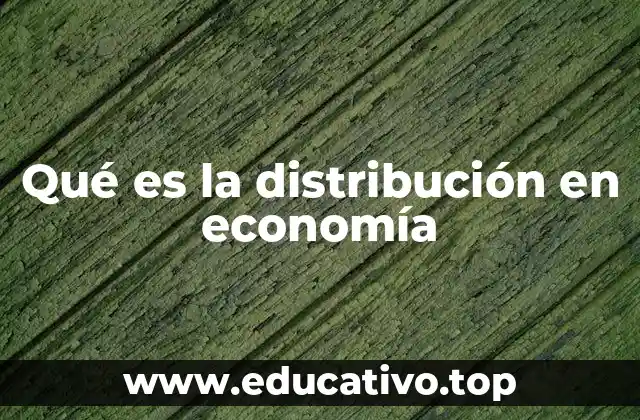 Qué es la distribución en economía