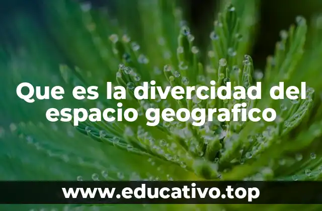 Que es la divercidad del espacio geografico