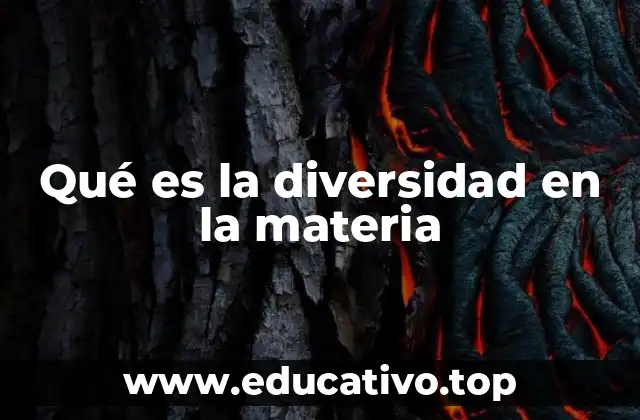 Qué es la diversidad en la materia