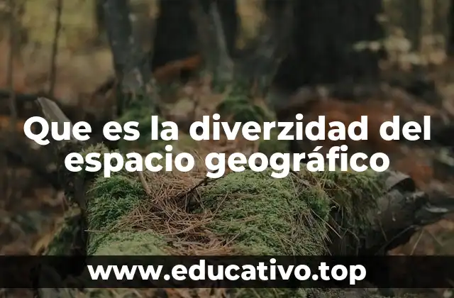 Que es la diverzidad del espacio geográfico