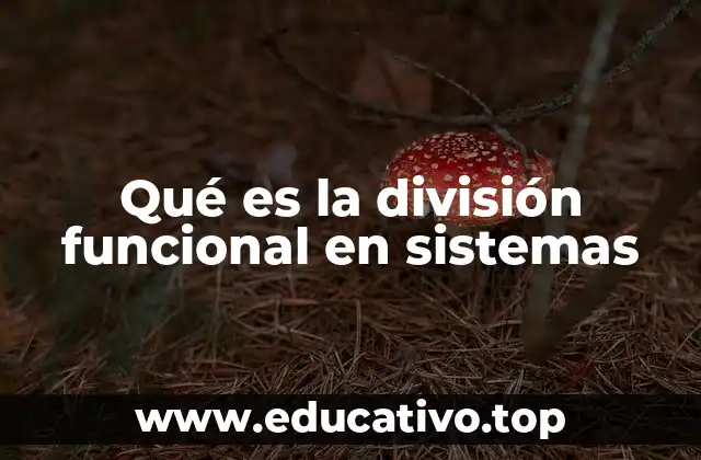 Qué es la división funcional en sistemas